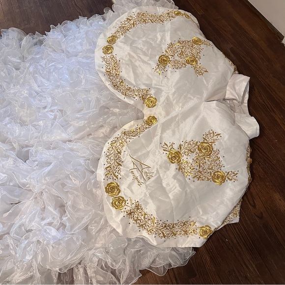 Quinceañera Adán Terriquez Additional Pictures Dress & Train Detail - Picture 5 of 17